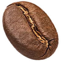 coffe bean illustration